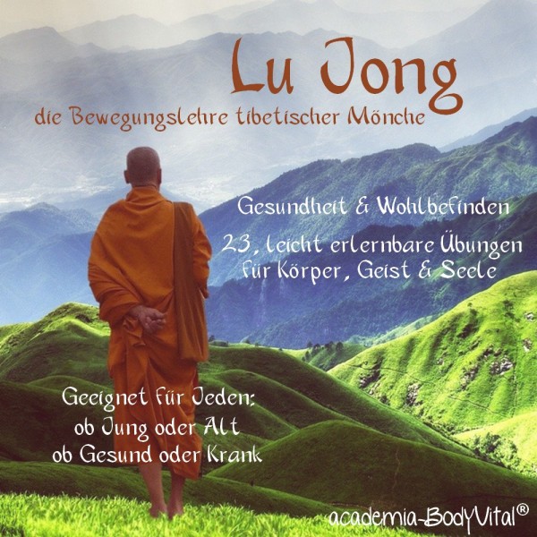 Lu Jong VitalPractitioner Ausbildung