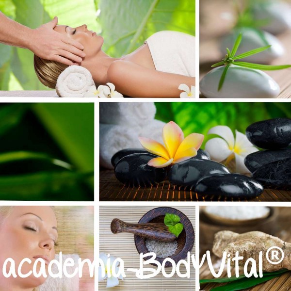 Dao Yin VitalPractitioner Ausbildung